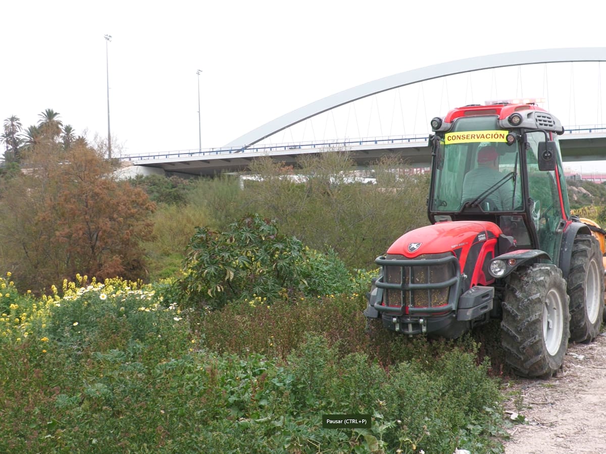 Comienzan los trabajos de limpieza y desbroce del sendero sur del Vinalopó