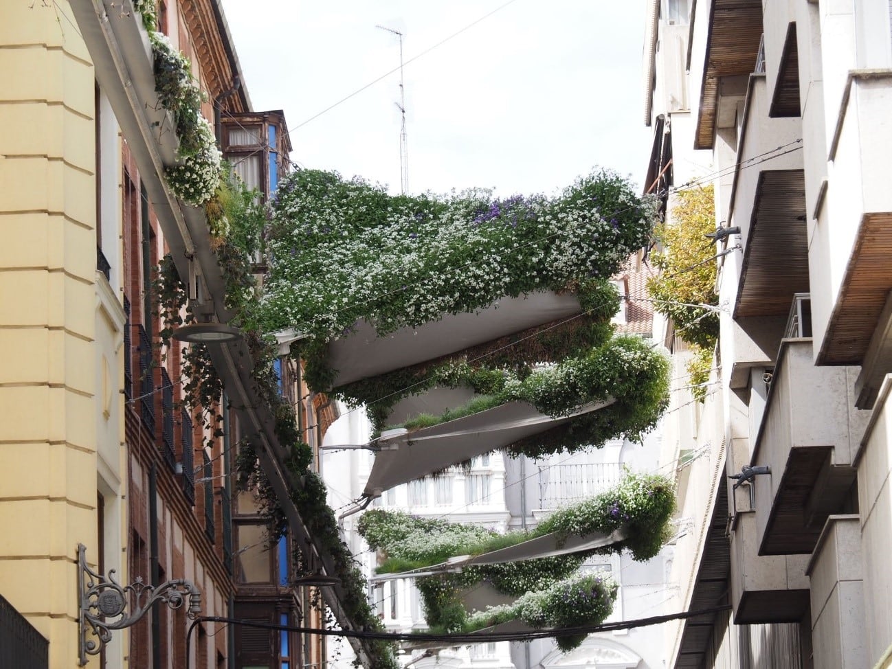 Toldos verdes en la calle Santa María de Valladolid