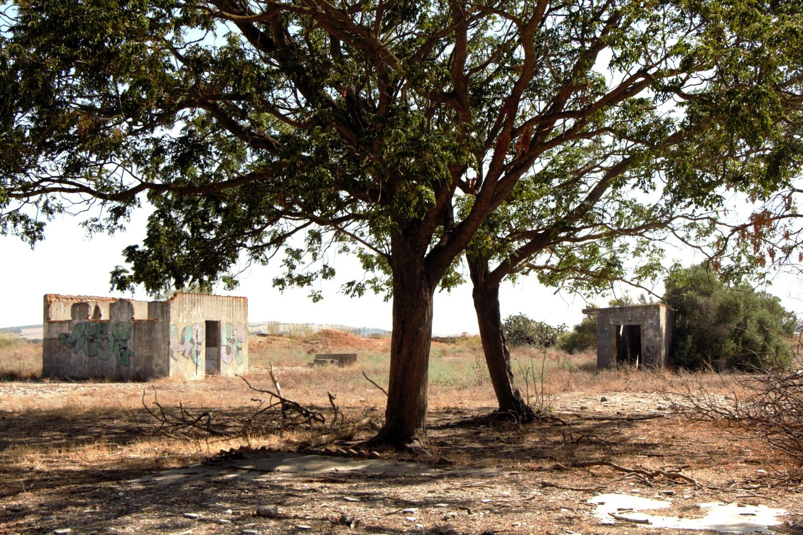 Un "paseíto" por la Vega de Zarandilla y Las Pachecas