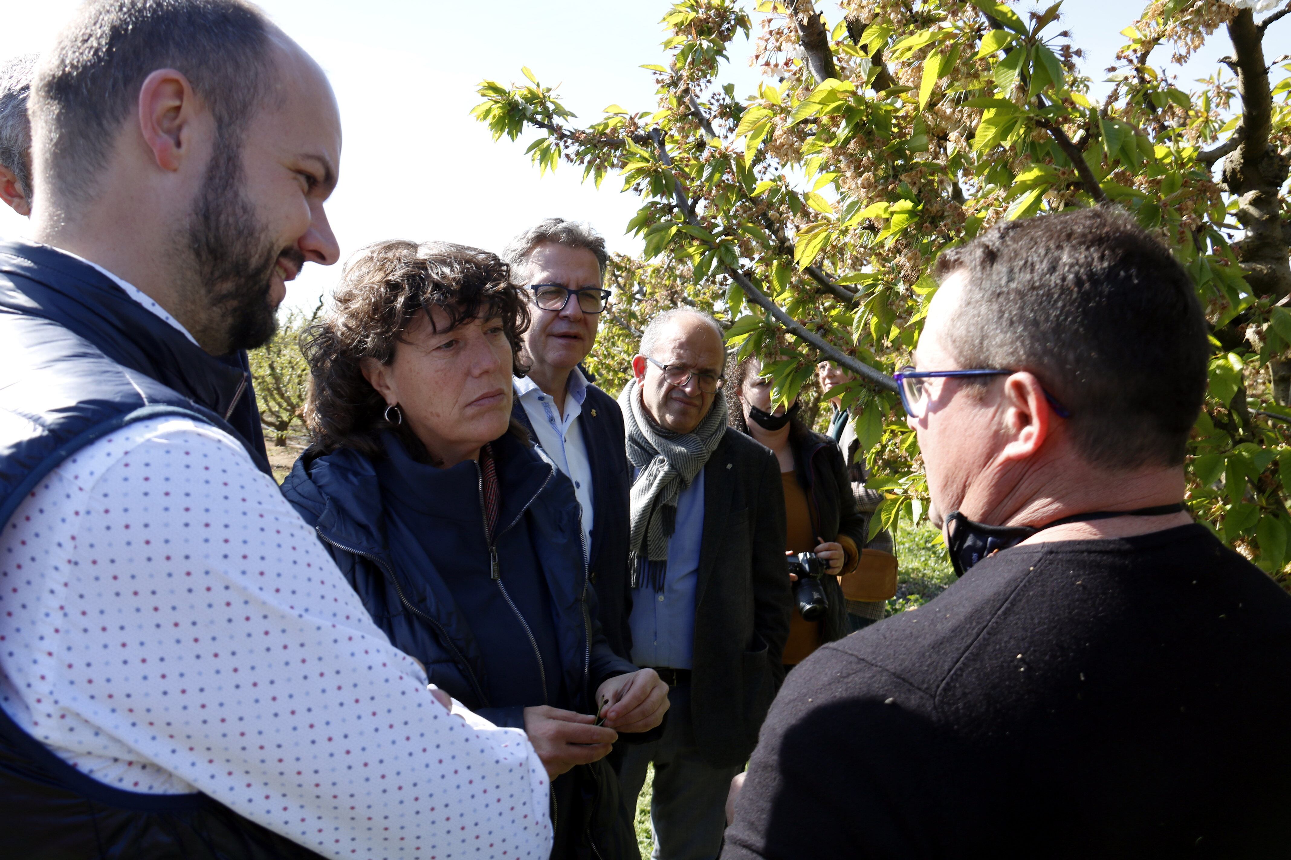 Teresa Jordà, consellera