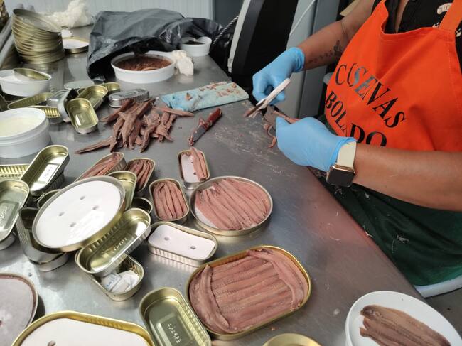 Envasado a mano artesanal de anchoas en Conservas Bolado, en Santoña