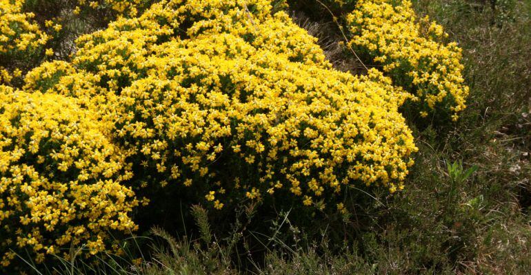 Para los que piensan en el famoso dicho, que abran bien los ojos para descubrir la naturaleza de la zona