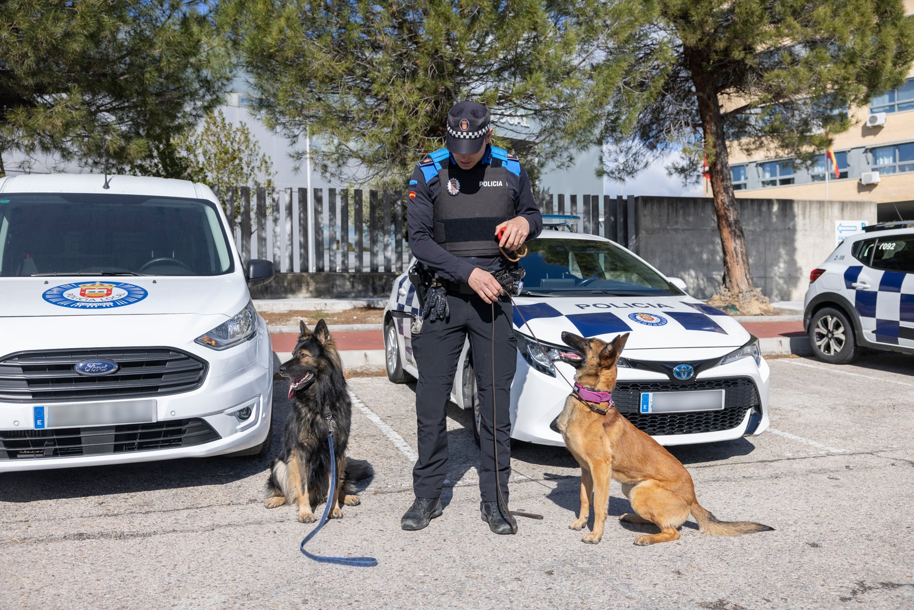 Unidad Canina de la Policía Local de Tres Cantos