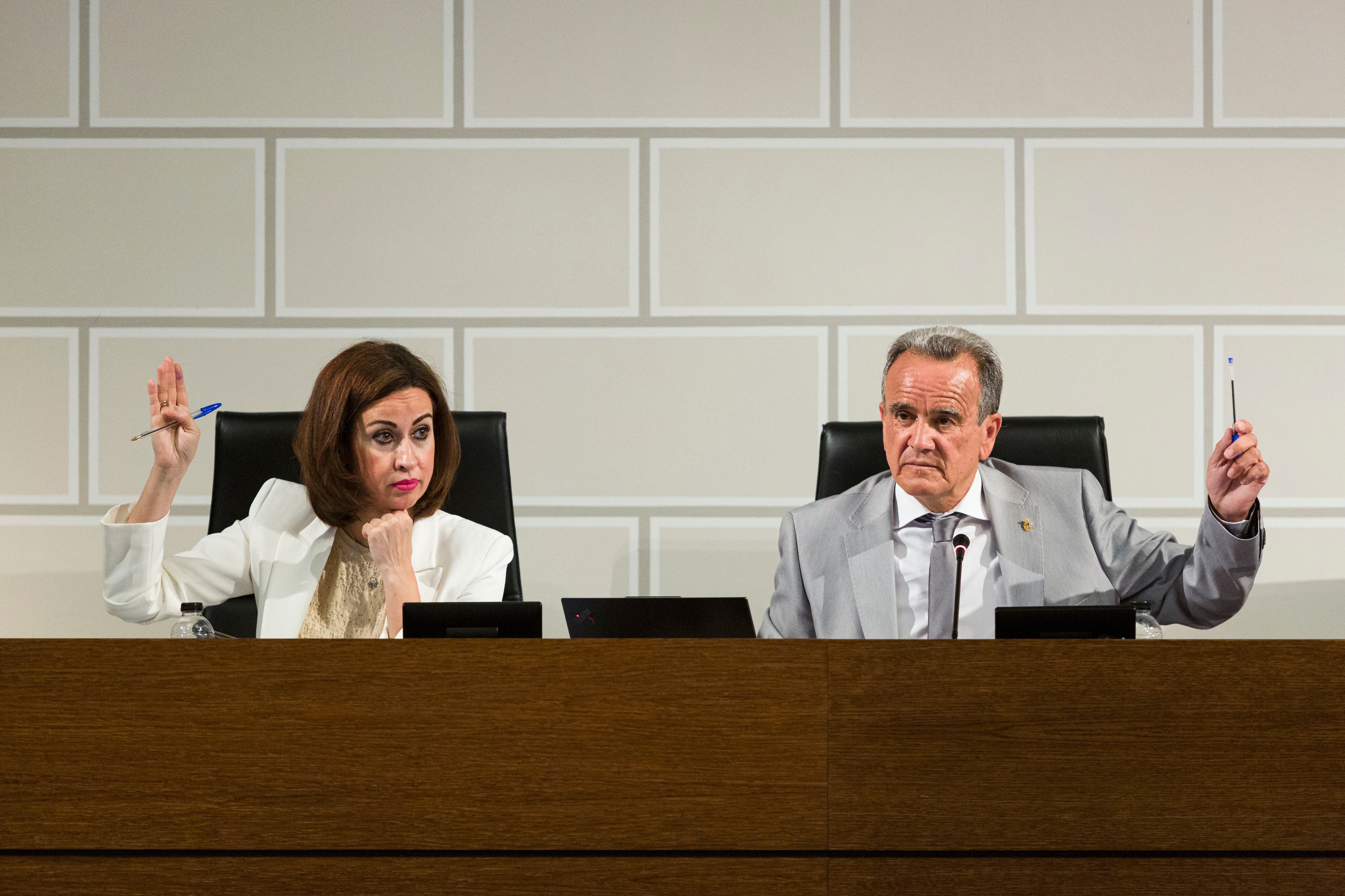 Pleno de julio de la Diputación de Zaragoza