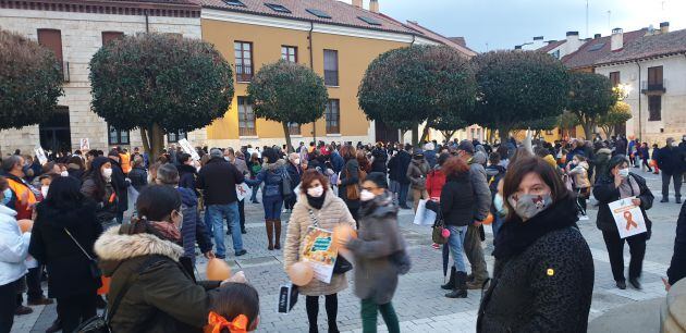 Unas 600 personas se han concentrado en Palencia contra la Ley Celaá