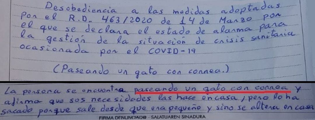 Policía Foral denuncia a una mujer en Pamplona por pasear un gato con correa