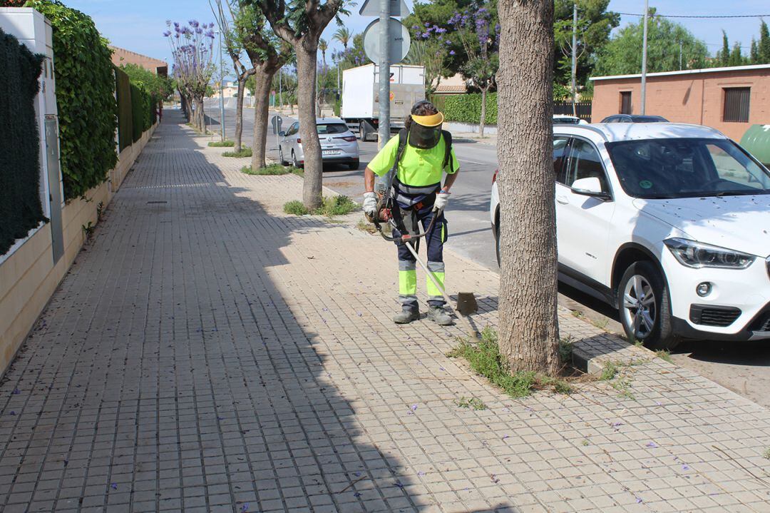 Labores de limpieza y desbroce en Novelda