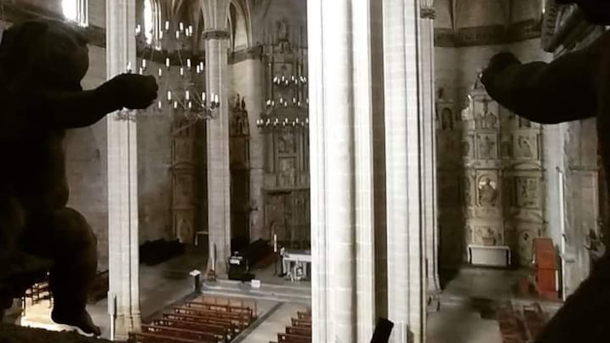El Museo Diocesano y la Catedral de Barbastro reciben más de tres mil visitantes entre julio y agosto