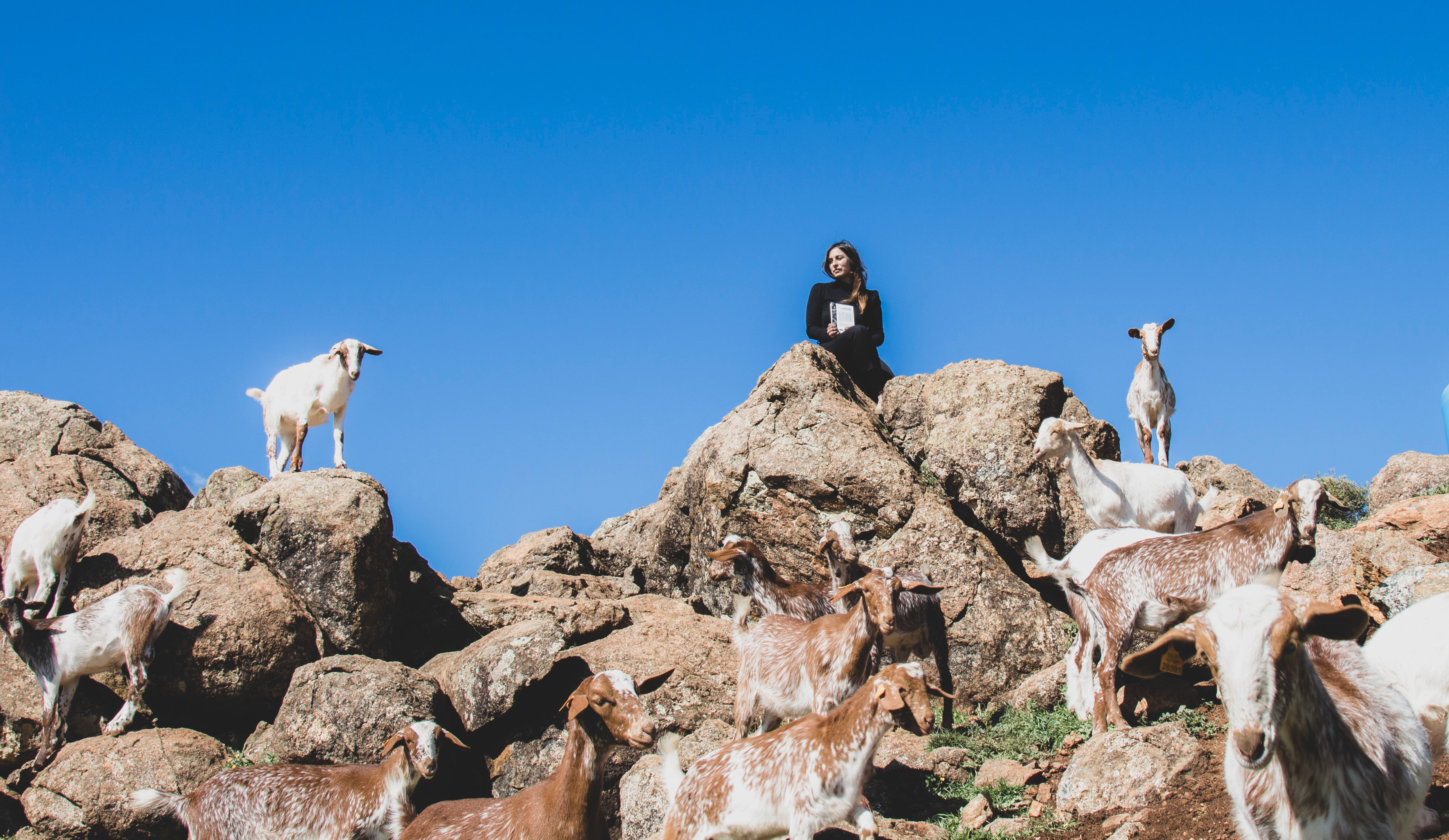 En su trabajo como veterinaria, María Sánchez lucha por la defensa de varias razas ganaderas en peligro de extinción.