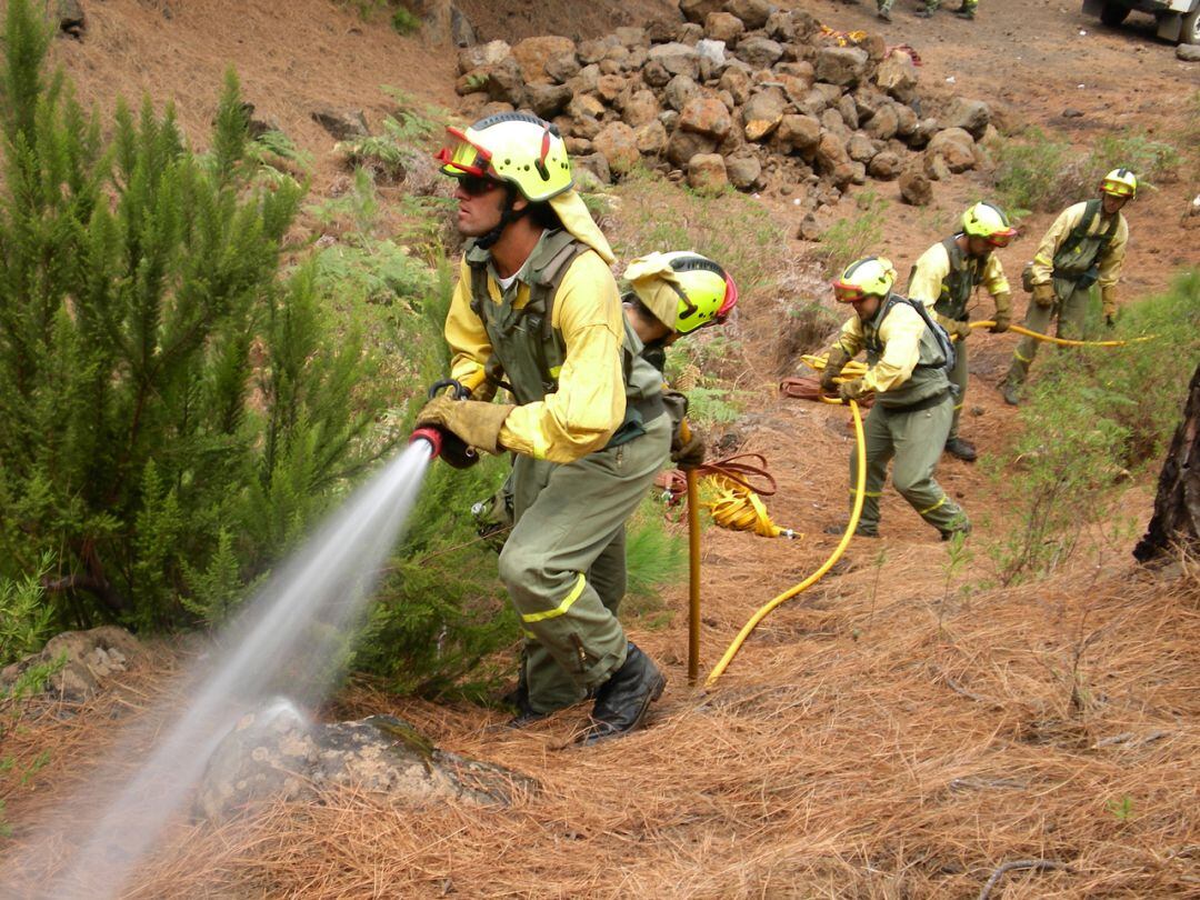 Brigada de Refuerzo contra Incendios Forestales BRIF-La Palma 2008. Tragsa