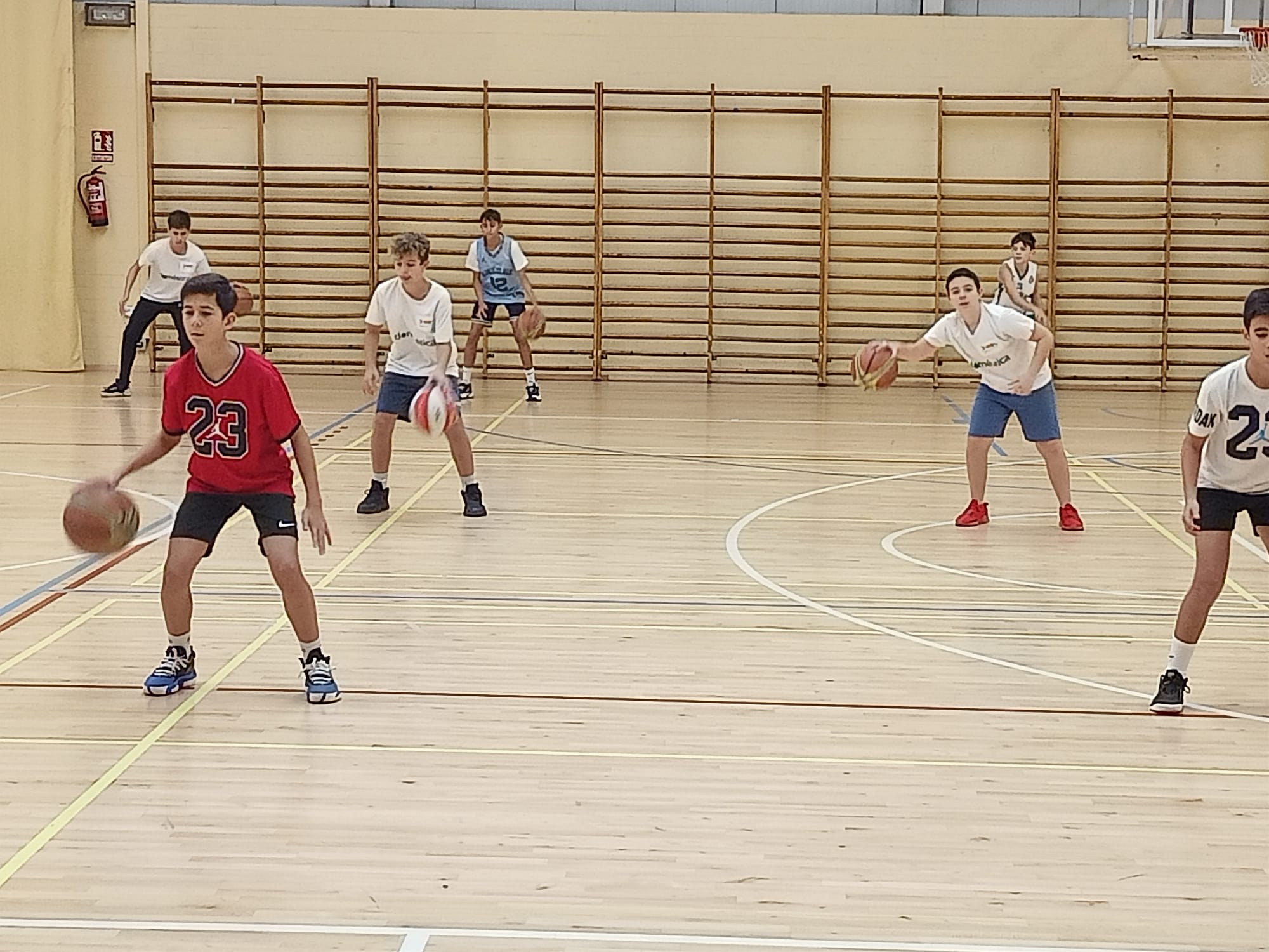 La jornada de este domingo está dedicada a las categorías benjamín y alevín