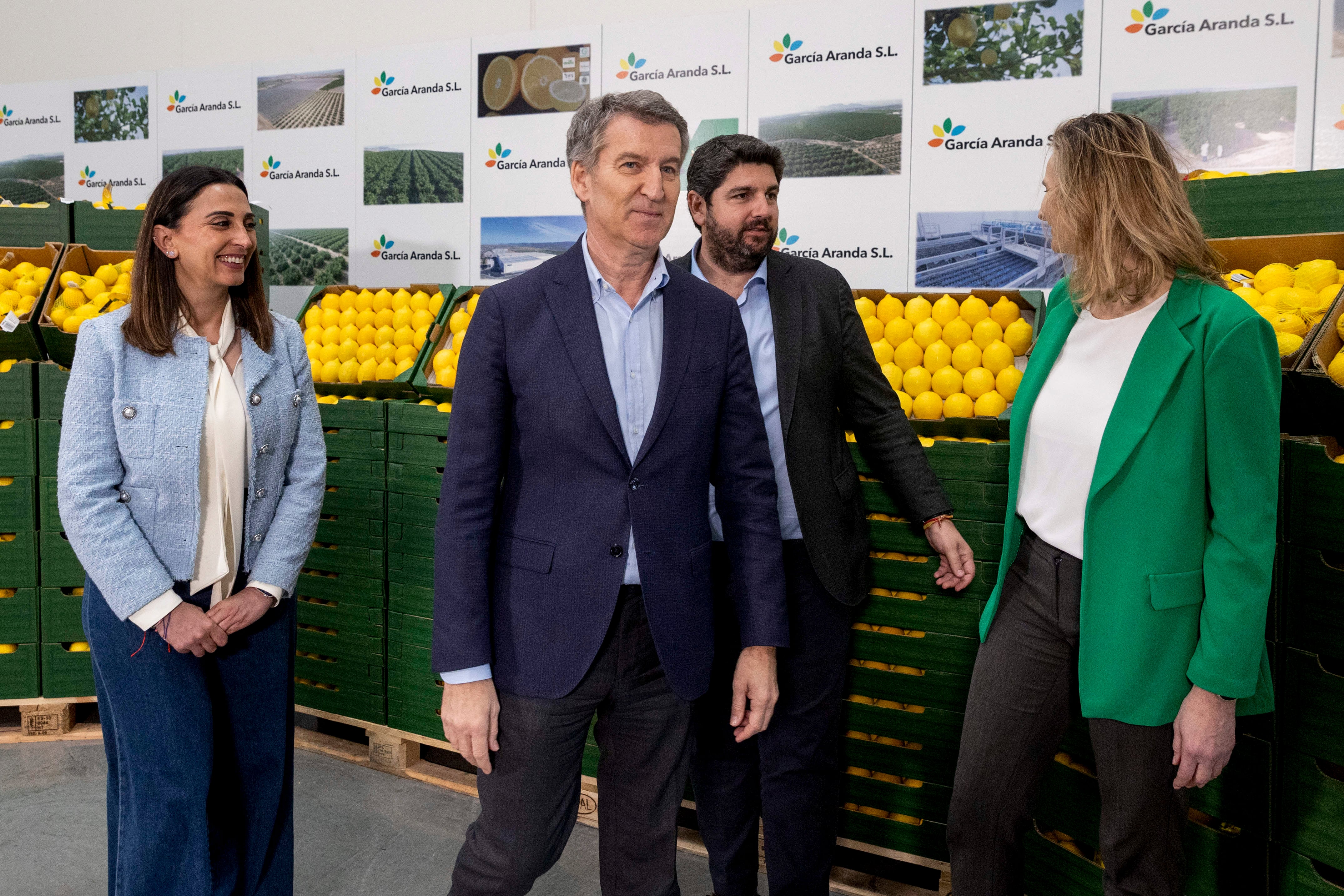 LIBRILLA, (MURCIA), 18/02/2025.- El presidente del Partido Popular, Alberto Núñez Feijóo (c), el presidente del PP de la Región de Murcia, Fernando López Miras (2d), la consejera de agricultura de Murcia Sara Rubira (i), y la vicesecretaria de agricultura del PP Paloma Martín (d), durante un momento de su comparecencia ante los medios de comunicación, tras la visita este martes a la empresa García Aranda, S.L. en el municipio de Librilla, (Murcia). EFE/Marcial Guillén
