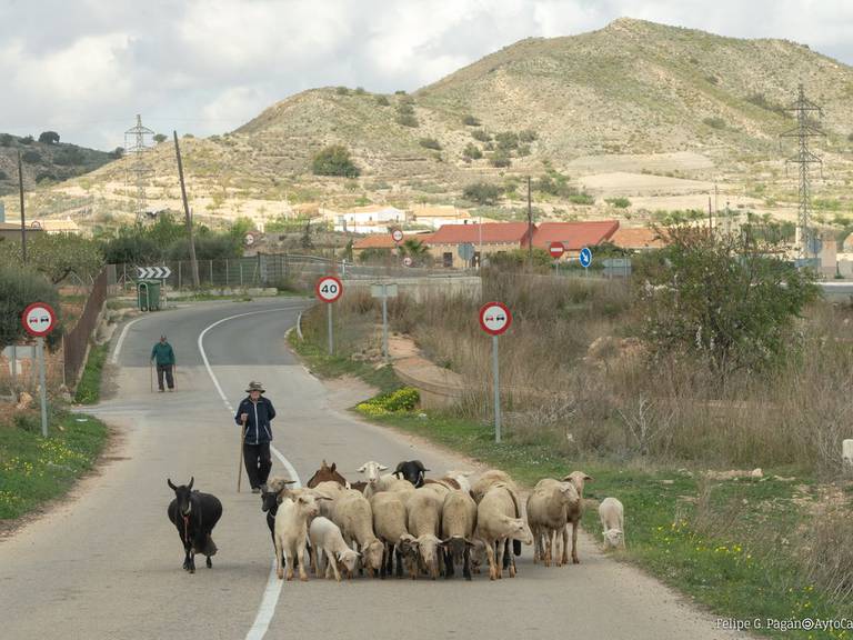 Zona Oeste de Cartagena