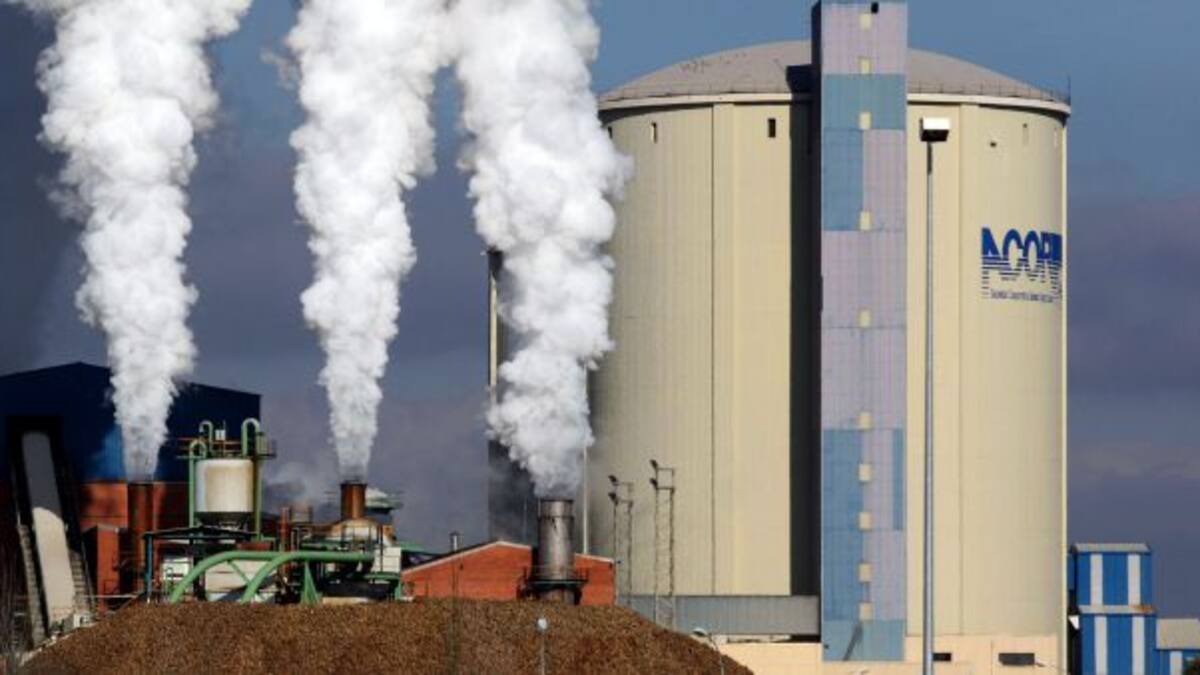 Arranca la campaña en ACOR