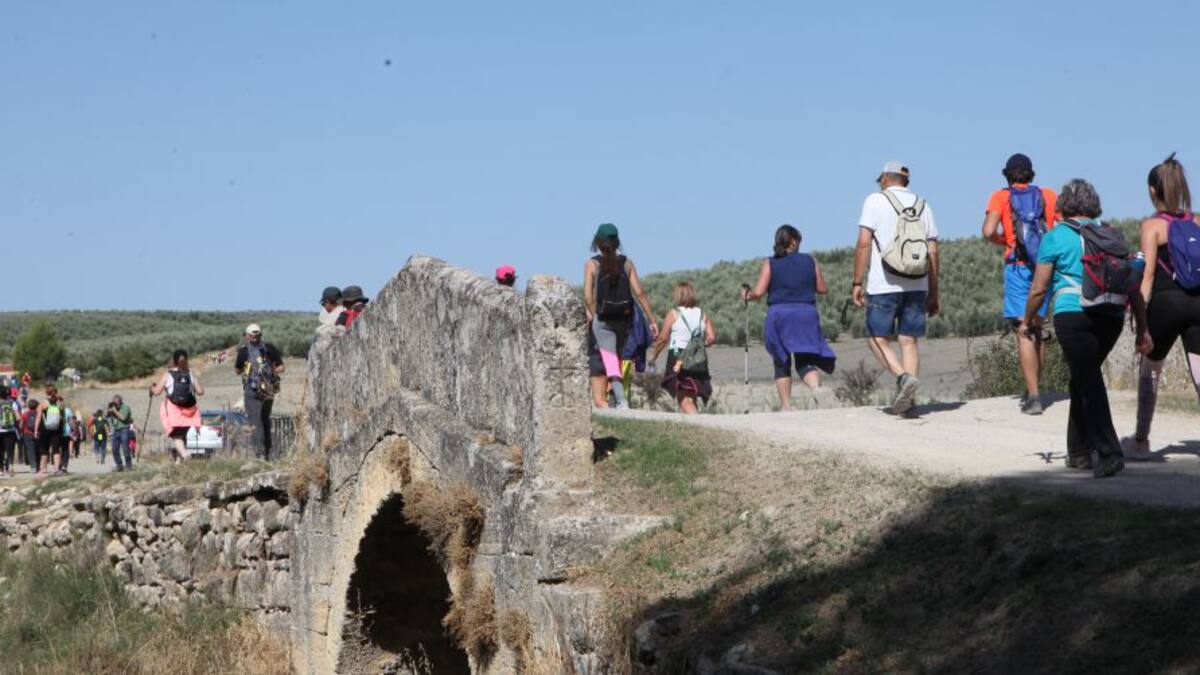 Voluntarios volverán a recoger residuos en el paraje de Los Cipreses