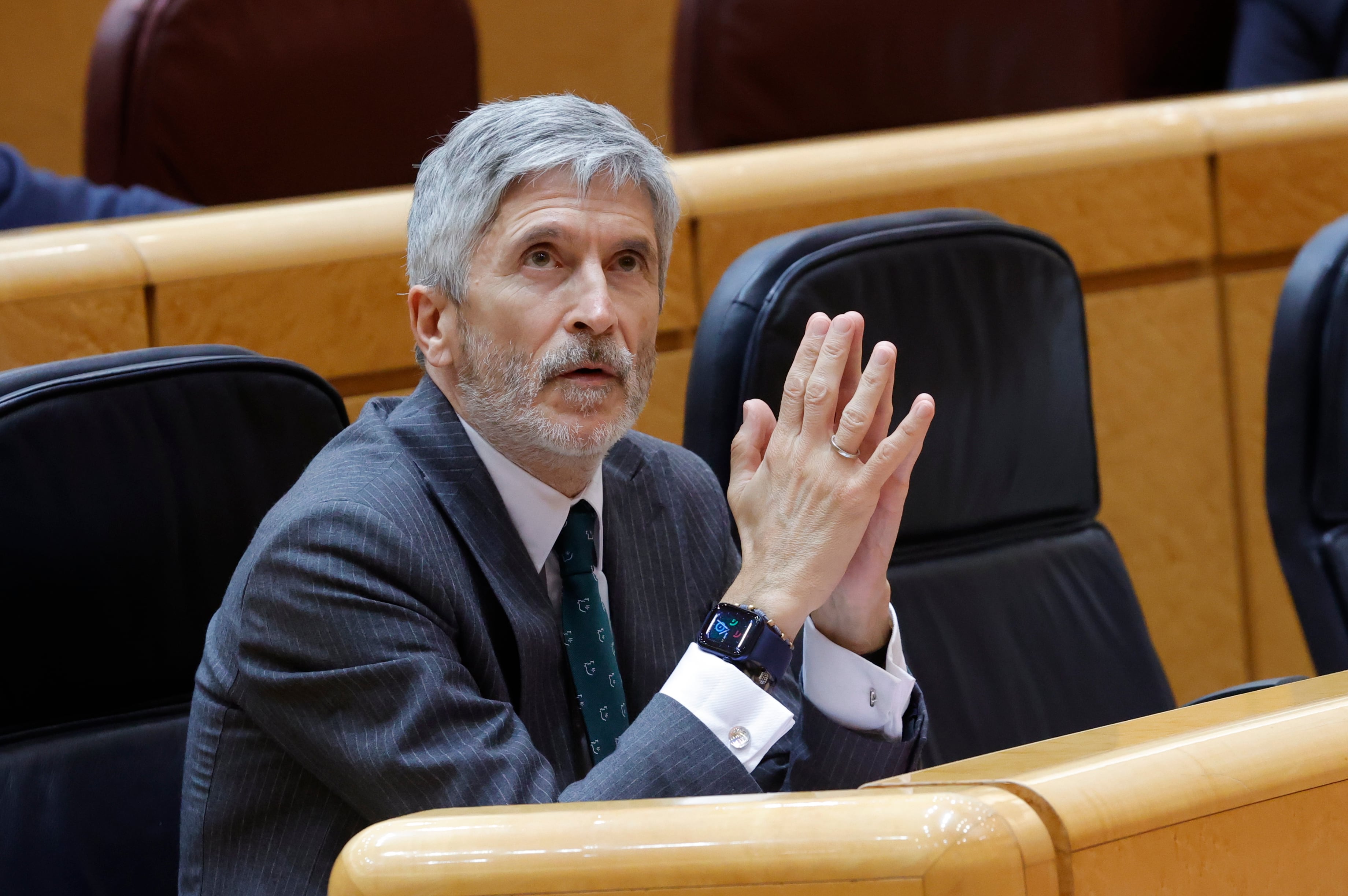 El ministro del Interior, Fernando Grande-Marlaska, durante una sesión de control del Senado, el pasado abril.