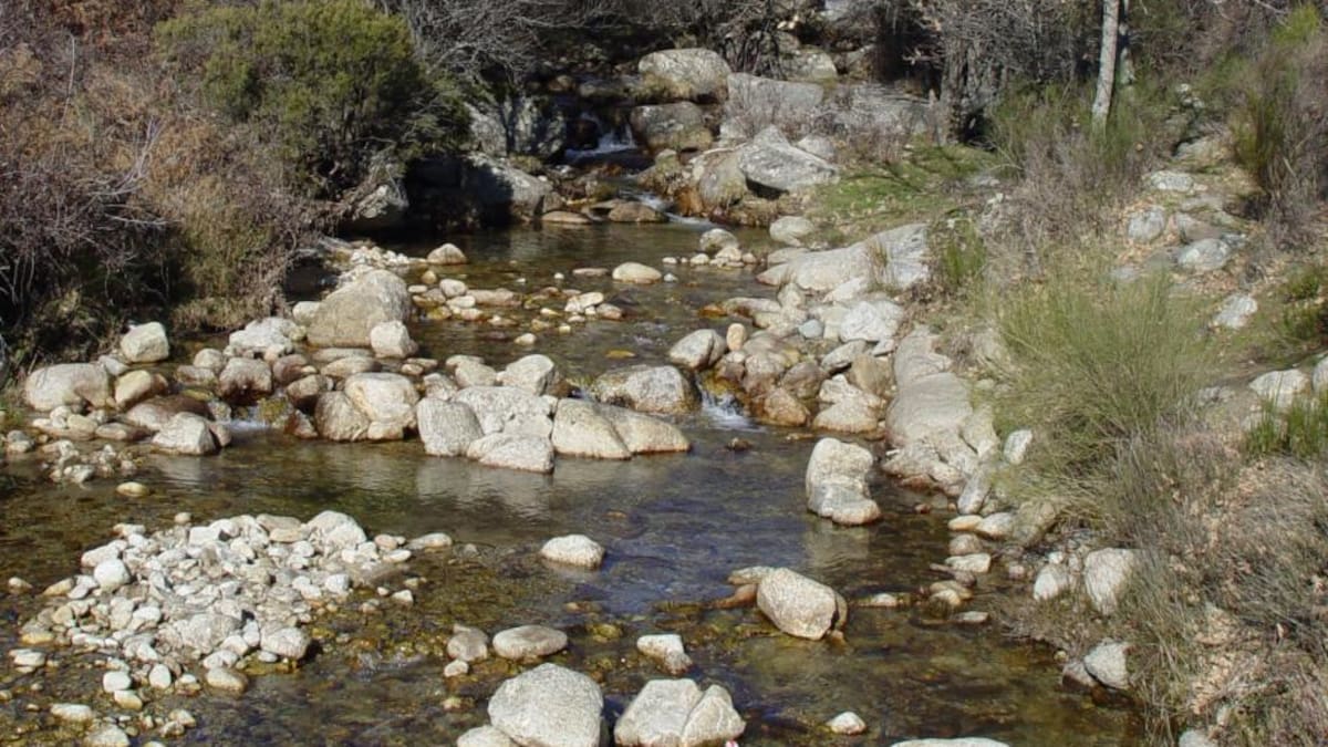 Entrevistamos a Nacho Calderón, conservador del Parque Regional de la Cuenca Alta del Manzanares