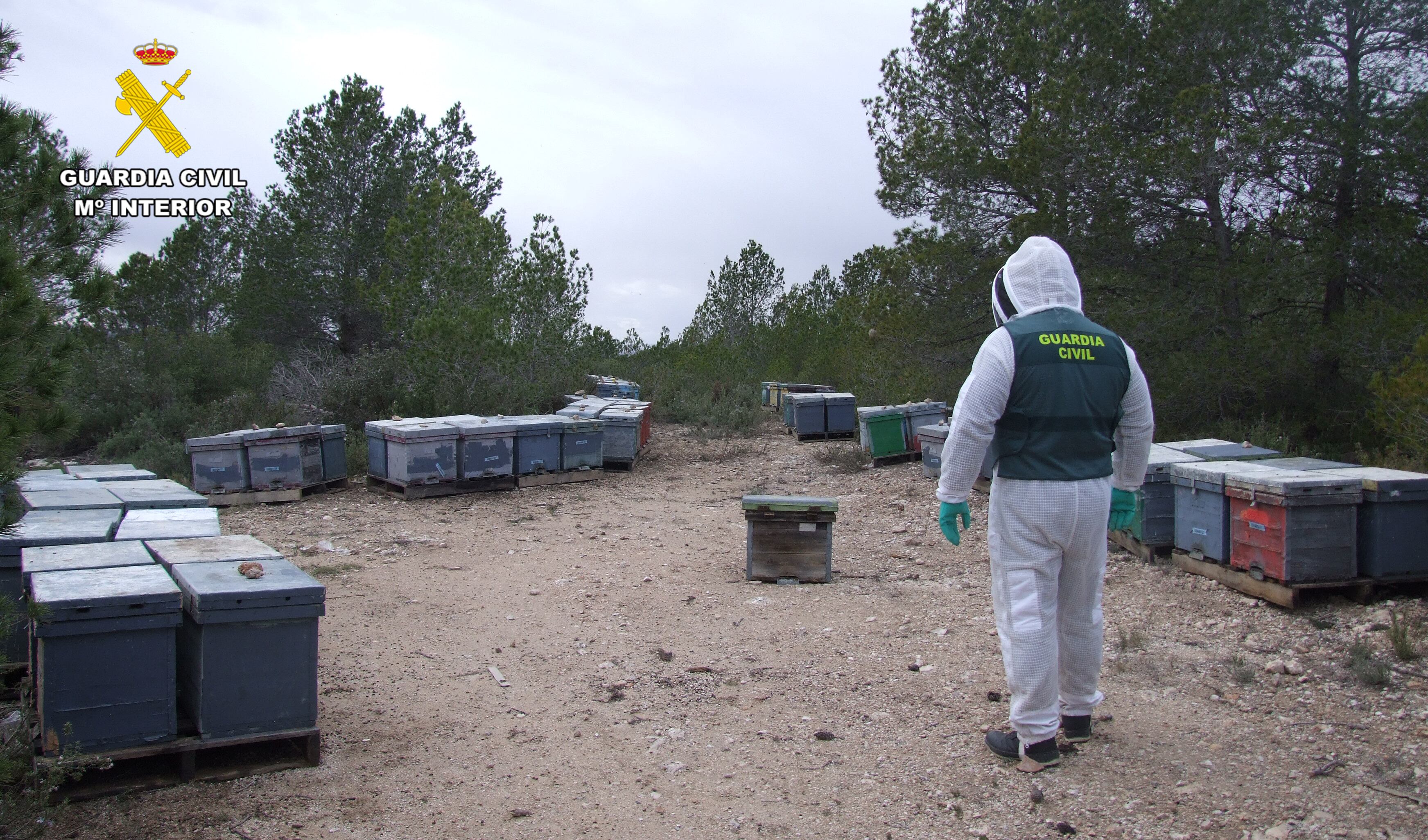 Detenido por robar colmenas apícolas en Ayna. Imagen de Guardia Civil de Albacete.