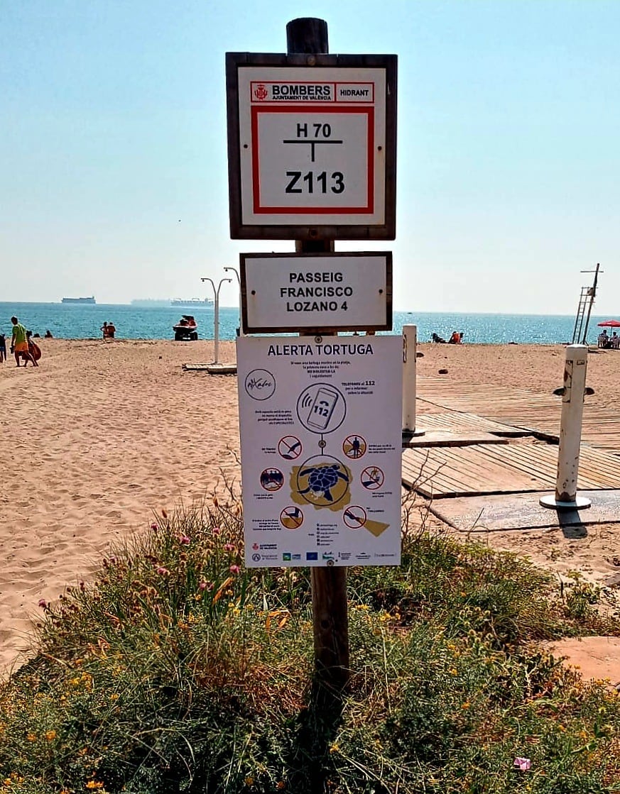 Cartel &quot;Alerta tortuga&quot;