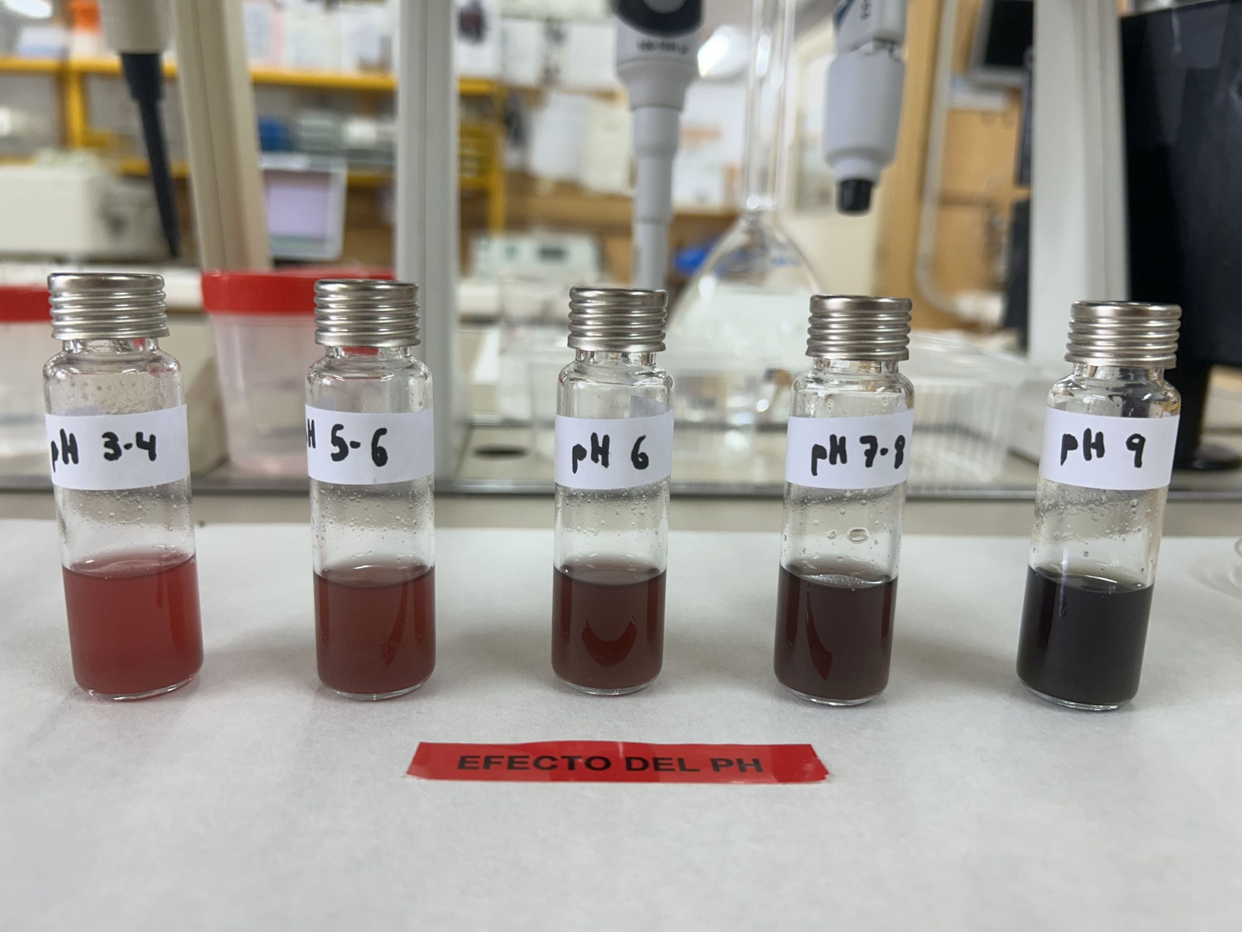 Pruebas en laboratorio de la UA: cambios de color de los extractos activos con el pH. Valores de pH más altos (básicos, como los producidos en la descomposición de los alimentos) producen un cambio de color significativo