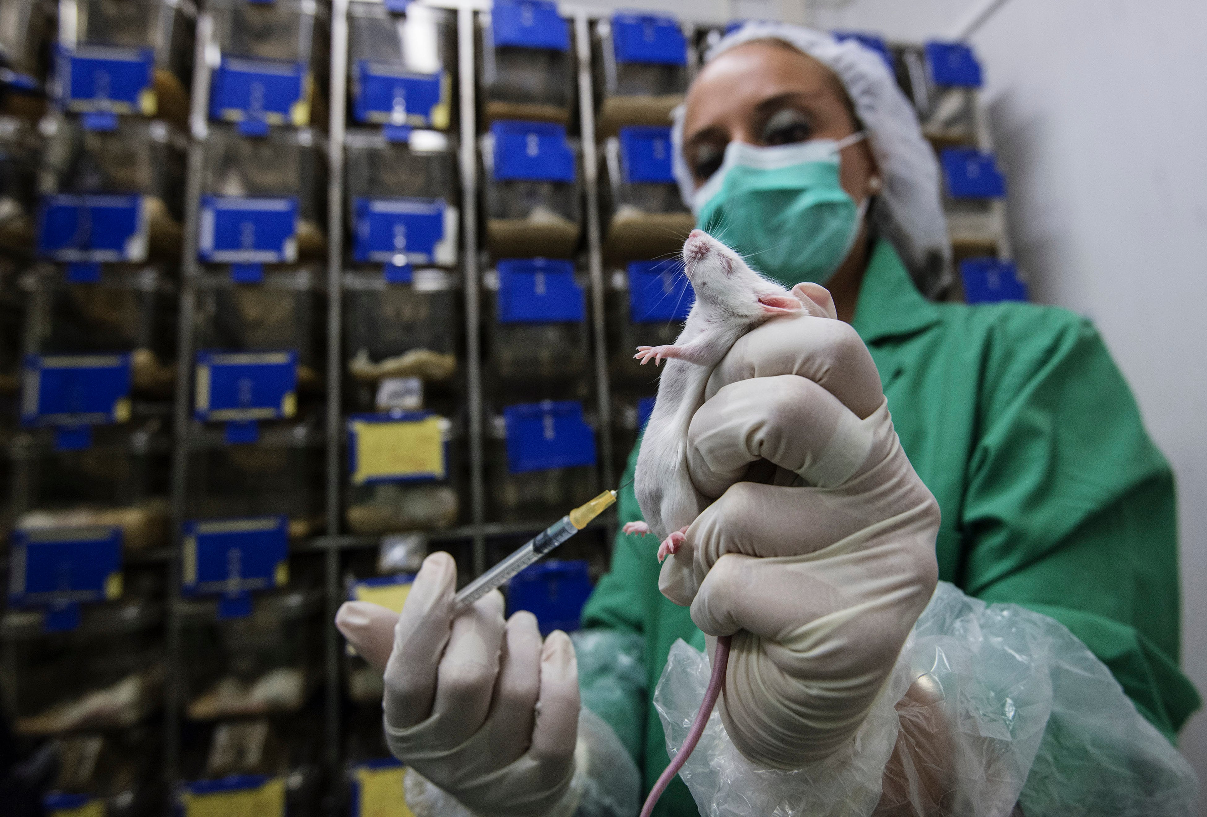 Investigación con ratones en un laboratorio.