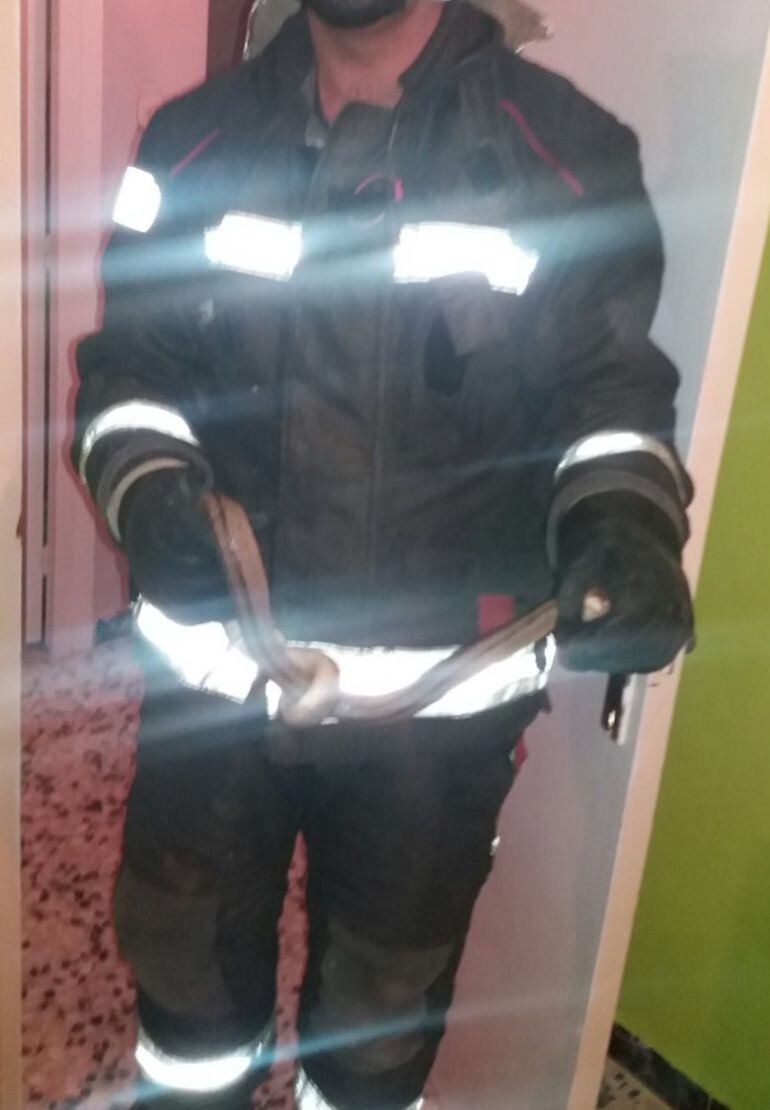 Un agente retira del domicilio la serpiente