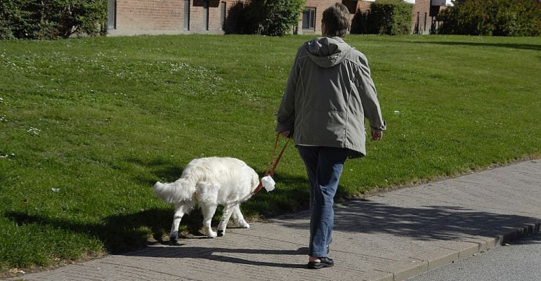 Una mujer pasea a su perro