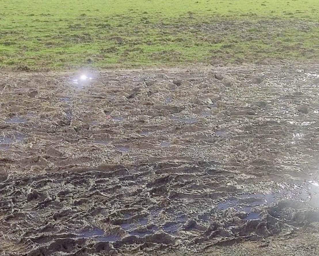 Estado que presenta el césped de La Balastera