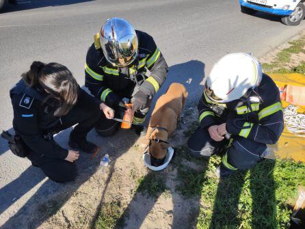 Agentes y bomberos atendieron al perro una vez fue rescatado del pozo.