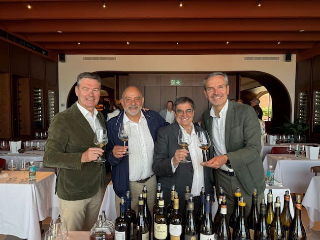 La añada 2025 de la Denominación de Origen Rueda, calificada de "Muy Buena"