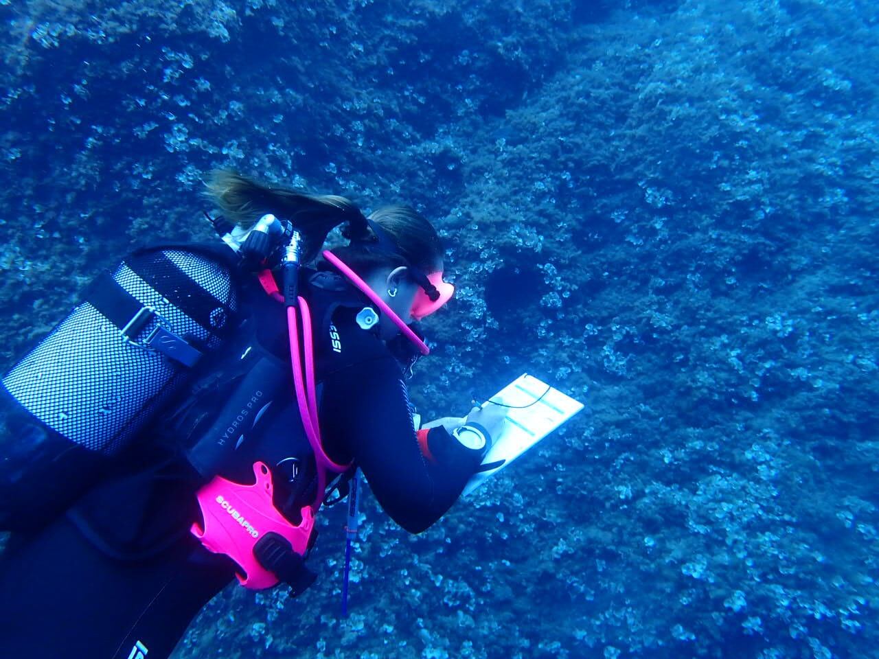 Els submarinistes de Ciutadella van fer un recompte de peixos a una zona concreta.