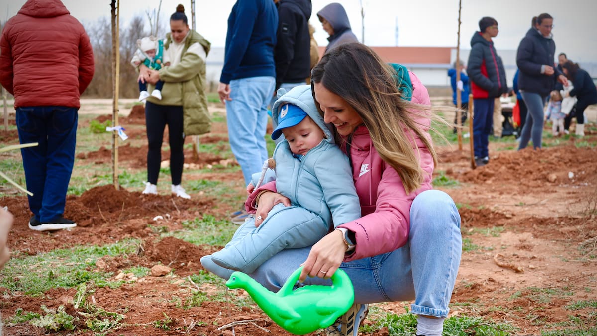 El Bosque de la Vida de Alcázar podrá sumar hasta 227 nuevos árboles este 2026