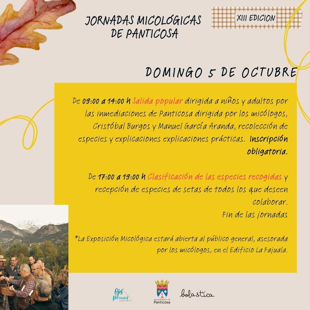 Programa del domingo