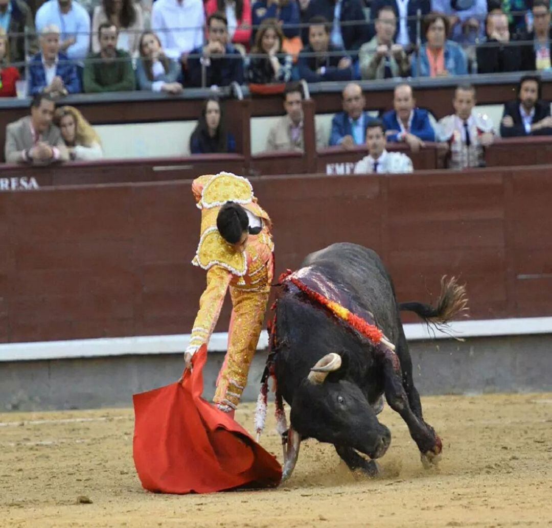 El diestro lorquino Paco Ureña resultó cogido de gravedad en la Plaza de Toros de Abarán.Foto de archivo.