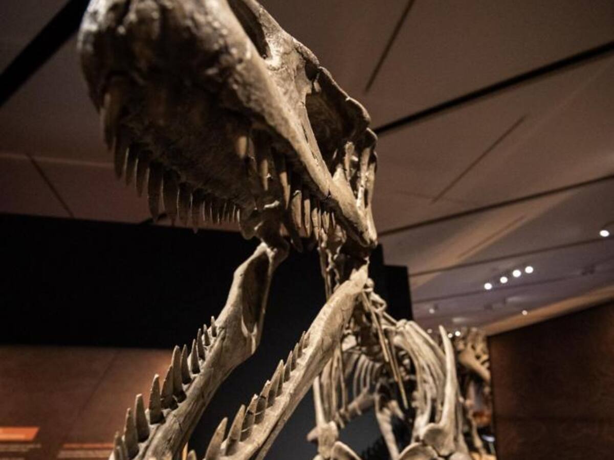 Entrevista a Álvaro Borrás