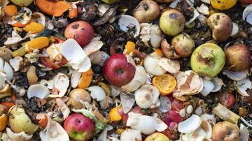 Estas son las novedades de la Ley de Desperdicio Alimentario