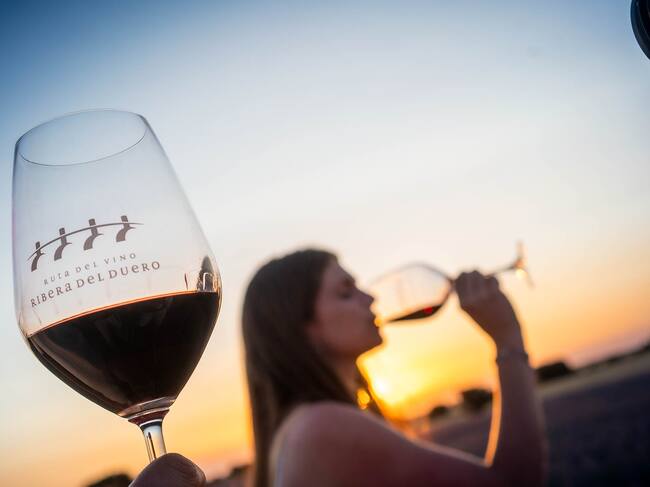 Ruta del Vino Ribera del Duero