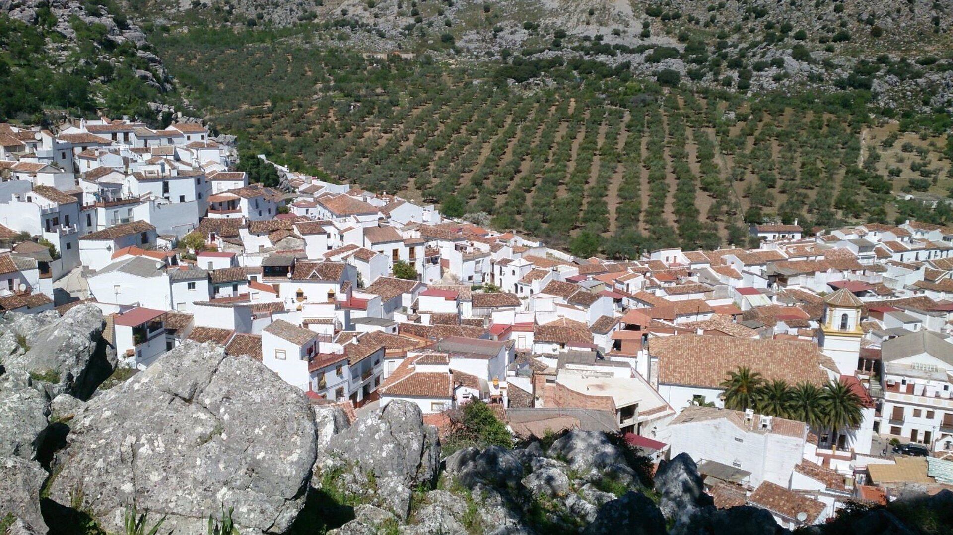 Formaciones independientes estarán al frente de seis alcaldías de Málaga, como Alpandeire y Benamocarra