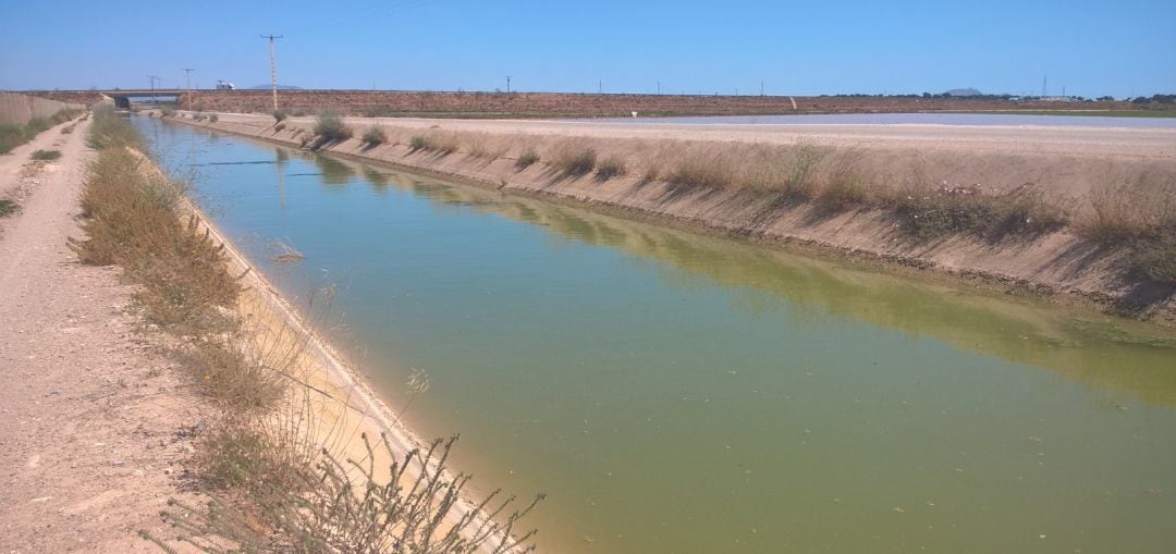 El canal del trasvase a su paso por la pedanía cartagenera de La Aljorra