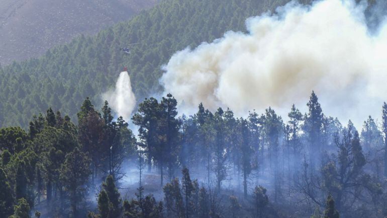 El Seprona ha abierto investigaciones en varios de los incendios del Área Metropolitana de Vigo