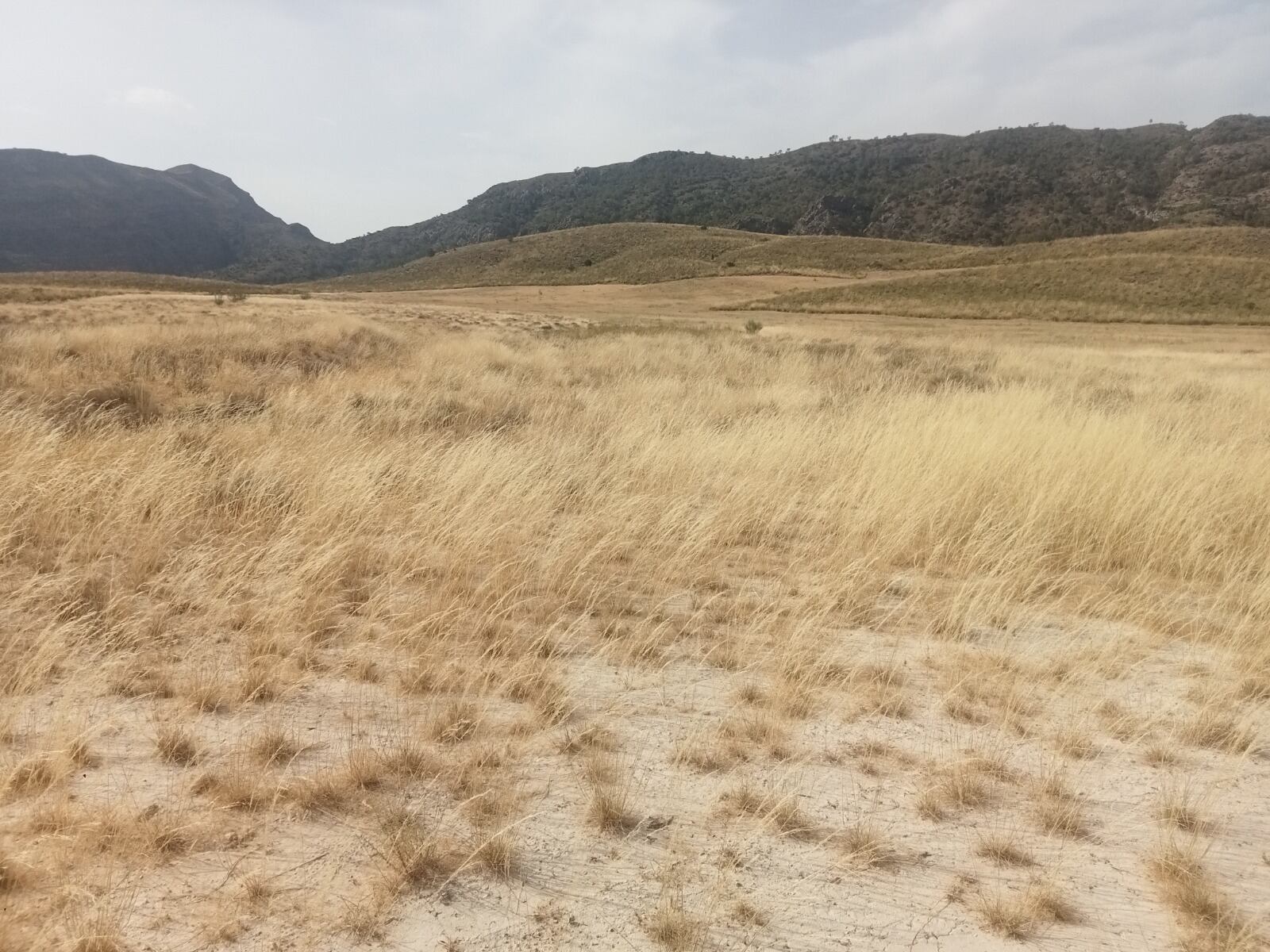 Sierra y Serrata del Puerto y Cabezo Mulata