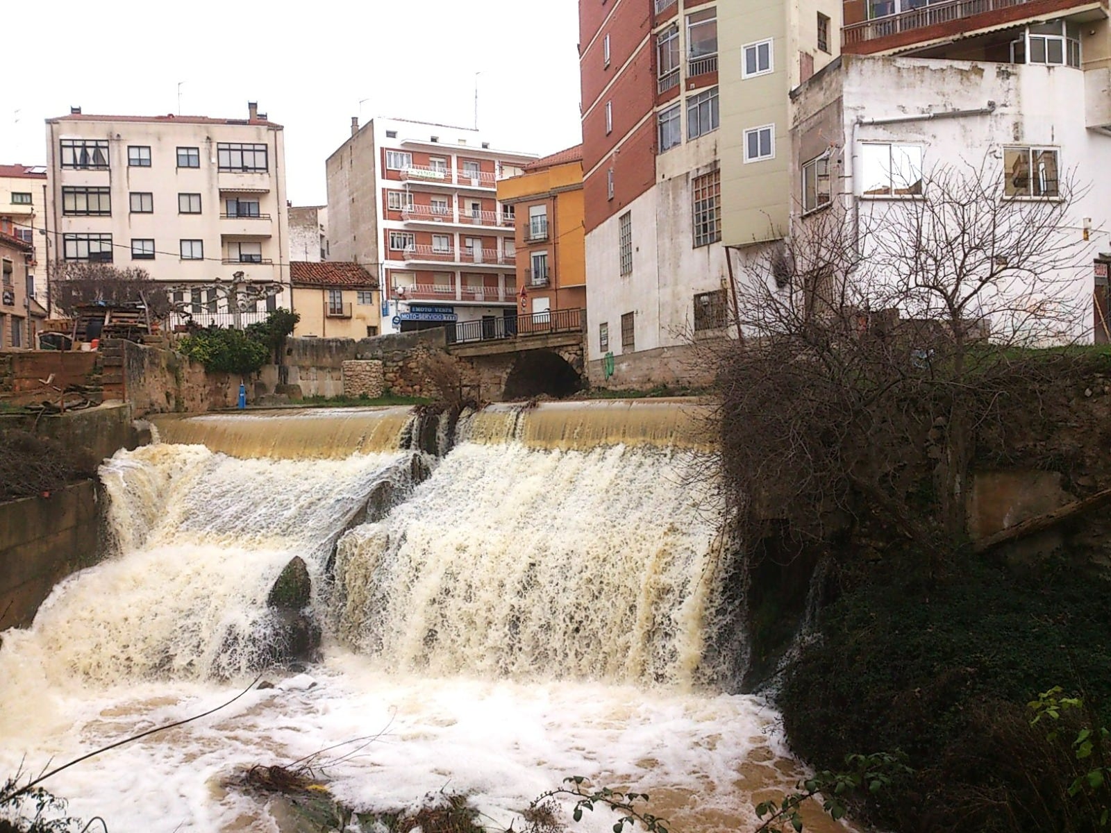 Río Bañuelos a su paso por Aranda