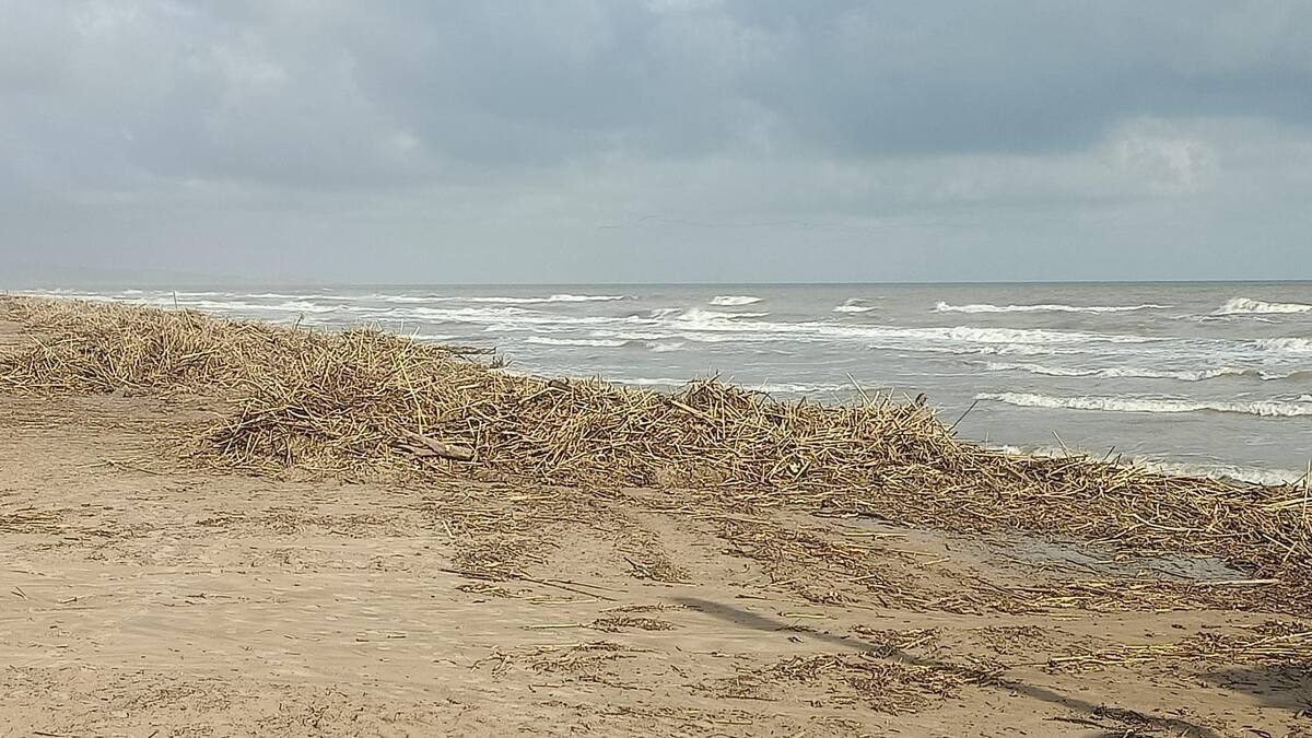 Balbina Sendra, entrevista cañas y hoteles