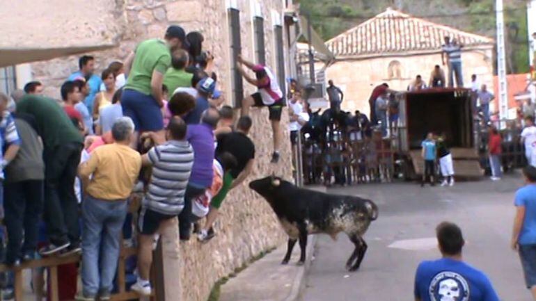 Imagen de un encierro en la localidad de Budia