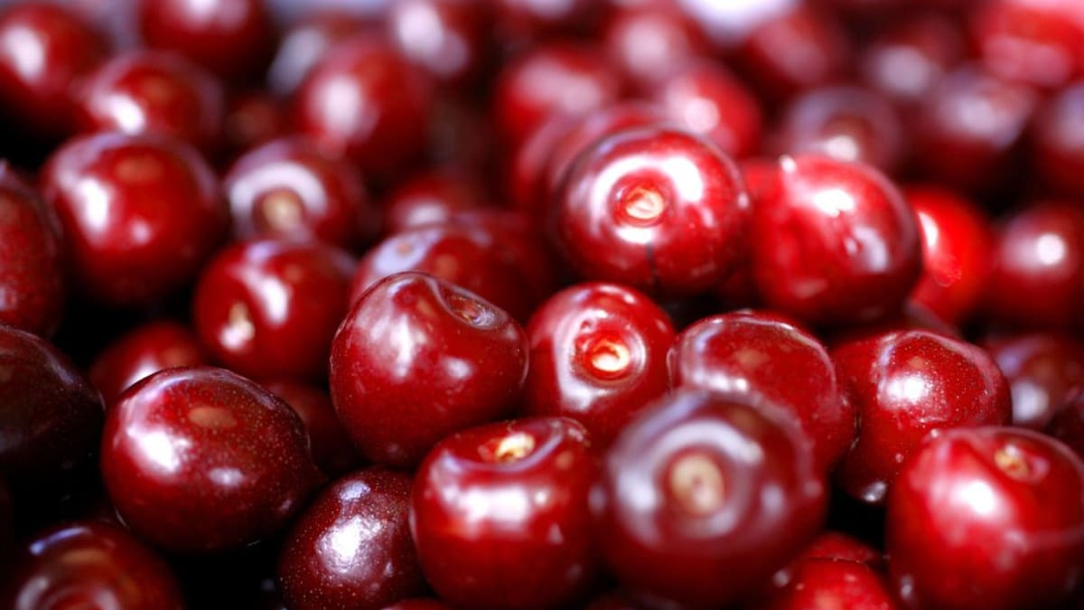 Hoy por Hoy Extremadura (26/06/2024)