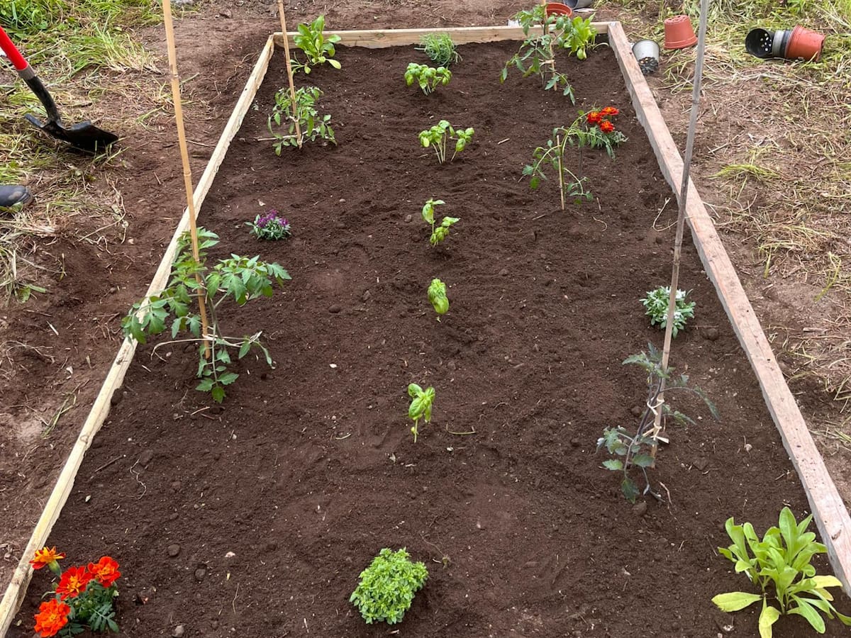 Huerta para principiantes