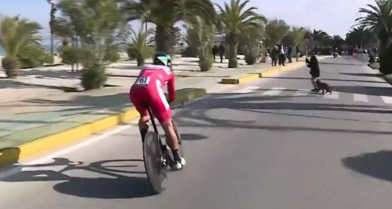 Sagan se enfrenta a una mujer que paseaba su perro... en plena contrarreloj