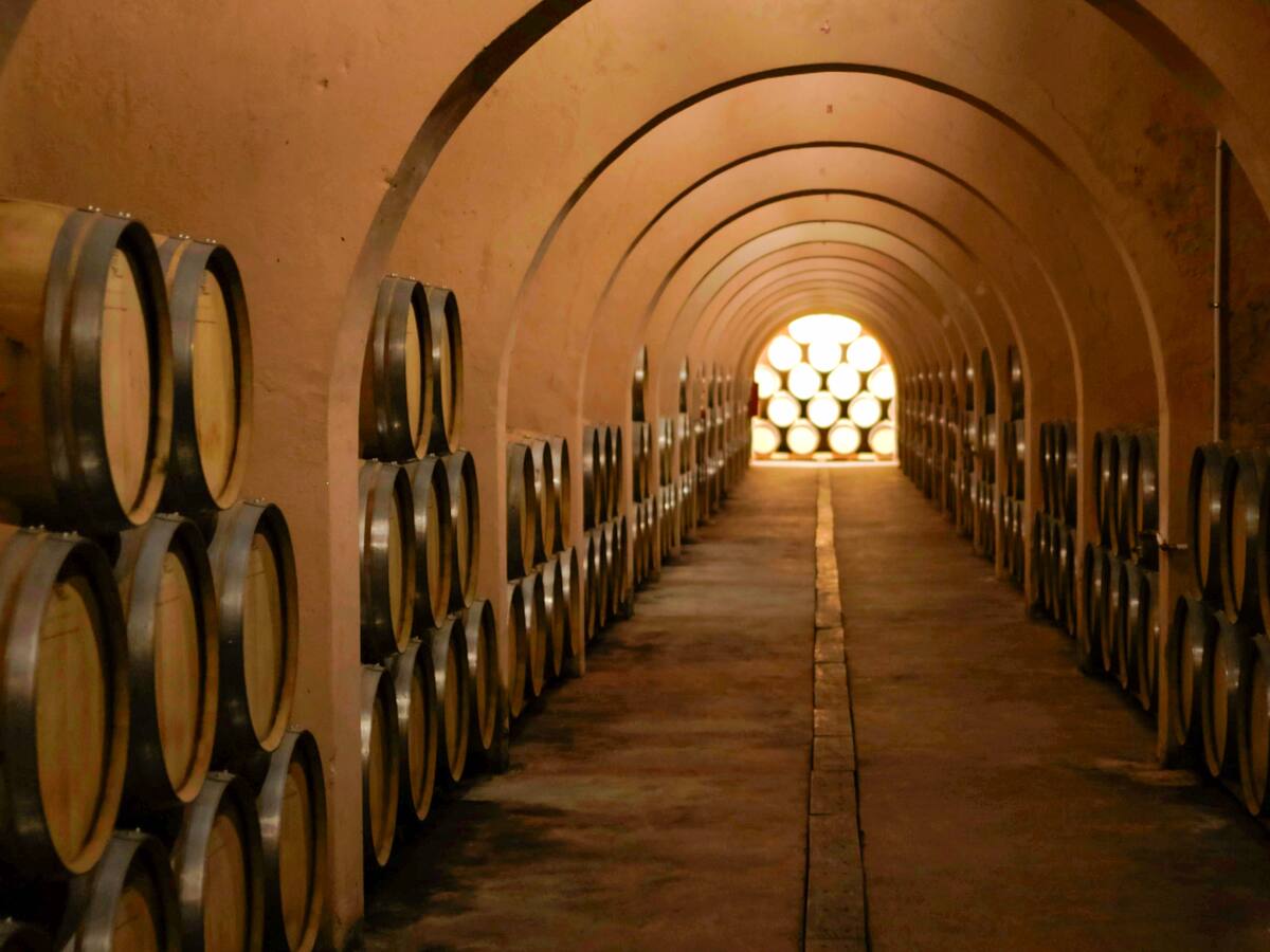 Villena, capital provincial del vino con la nueva edición de Enotur y sus actividades enoturísticas