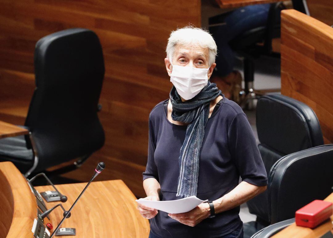 Durante el debate, la consejera llegó a ofrecer su mascarilla a la diputada Gloria García, que cuestionó la calidad del material de protección enviado a los centros. 