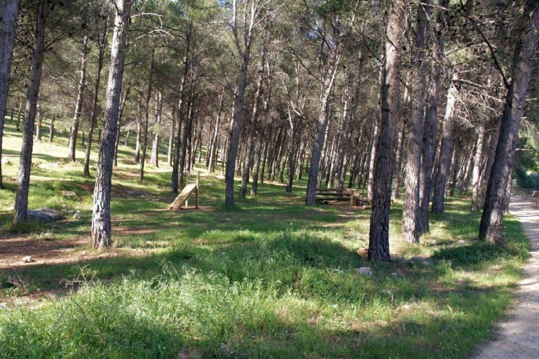 Las zonas verdes de Jaén y alrededores podrían convertirse en un futuro no muy lejano en un nuevo Parque Natural en la provincia